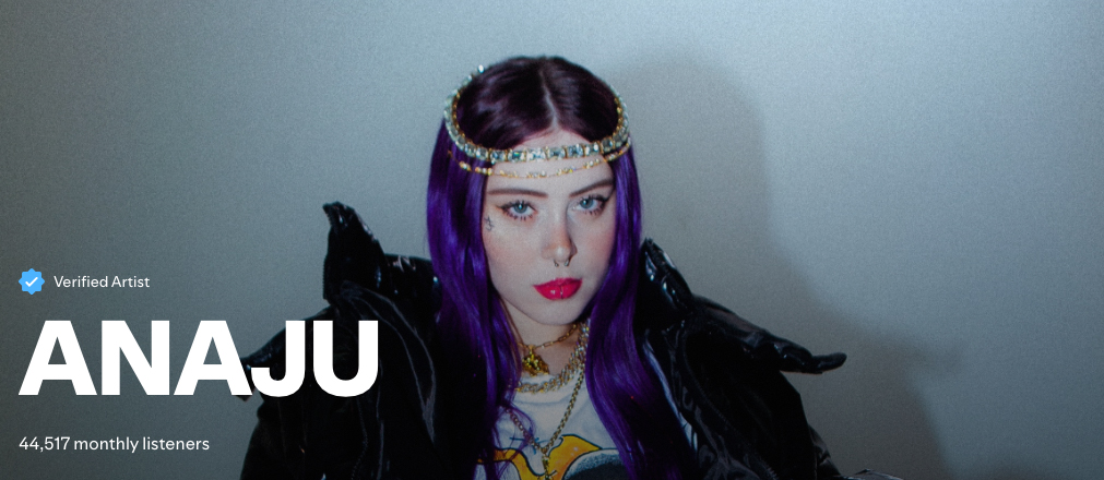 Anaju - O Melhor Curso de Produção Musical e DJ do Rj Brasil Ipanema Leblon Barra da Tijuca Niteroi Copacabana Botafogo Logic Pro Ableton BeatMaker Mixagem CDJ 3000 Xdj ddj.jpg